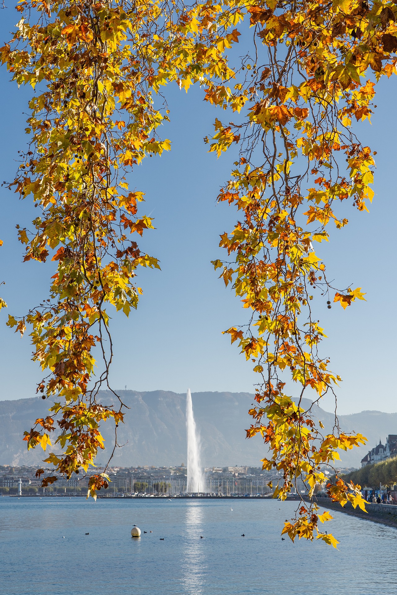 Jet d'eau de Genève